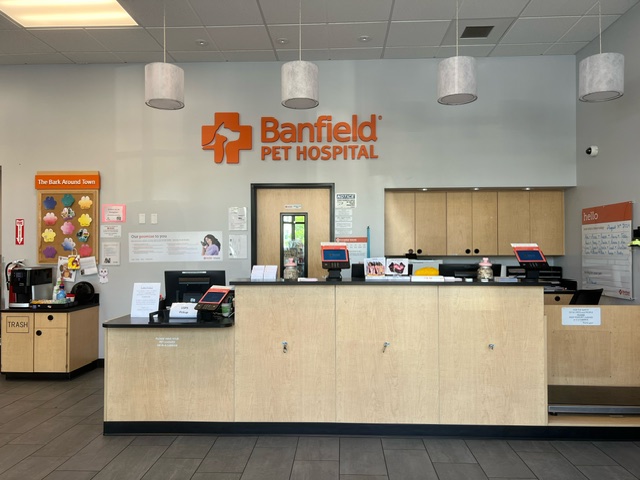 The front office area of Banfield Pet Hospital: Cambridge