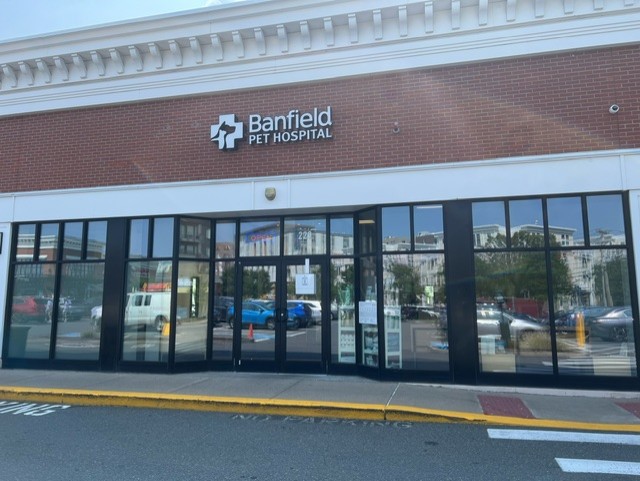 The front door of Banfield Pet Hospital: Cambridge
