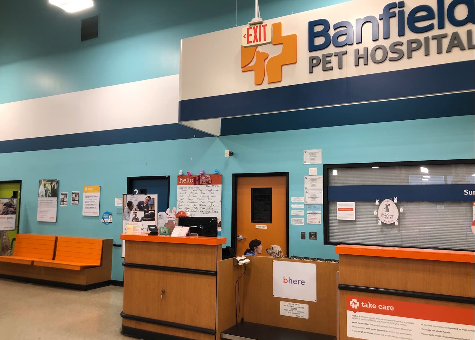 Interior of Banfield Pet Hospital Posner