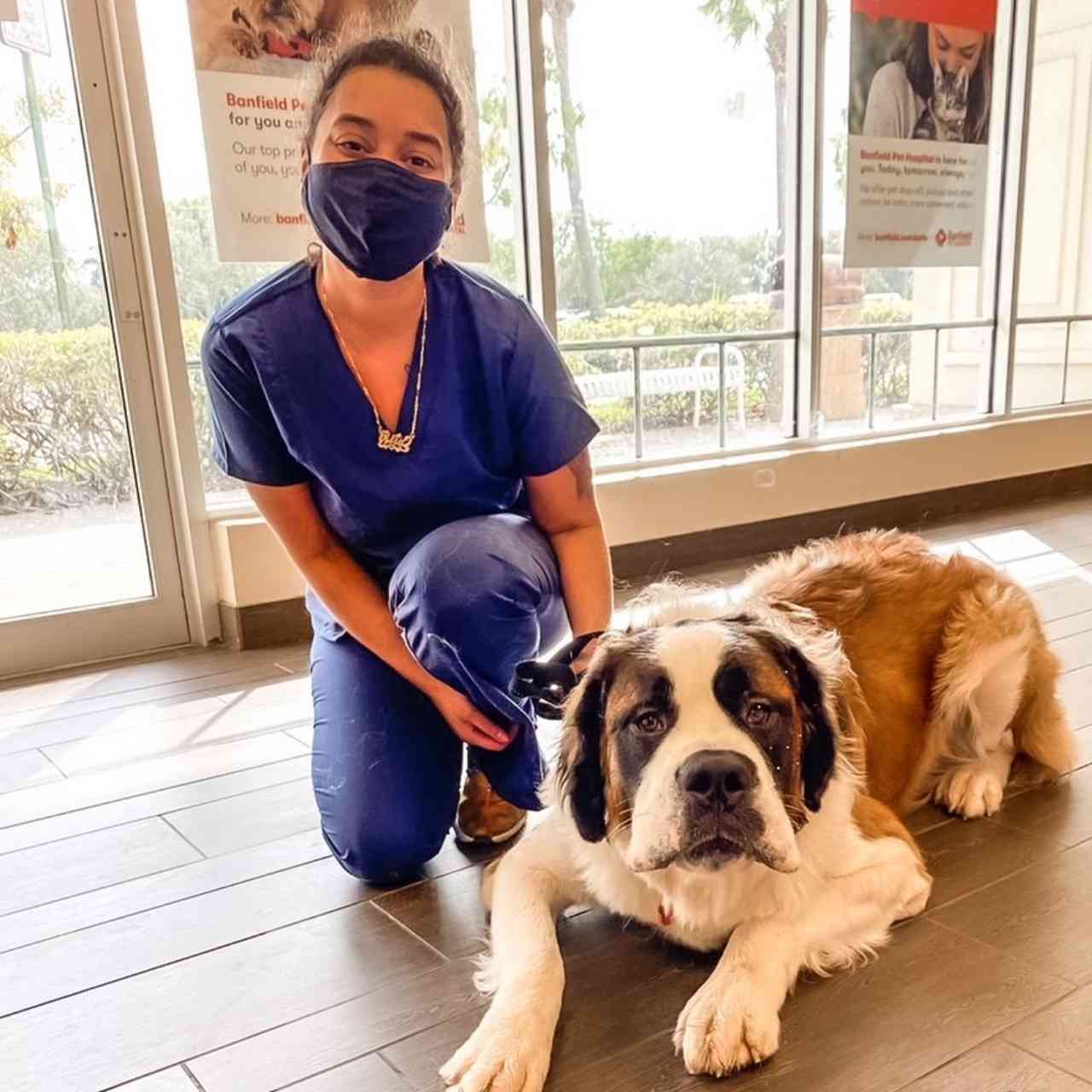 Staff member kneeling with dog laying down