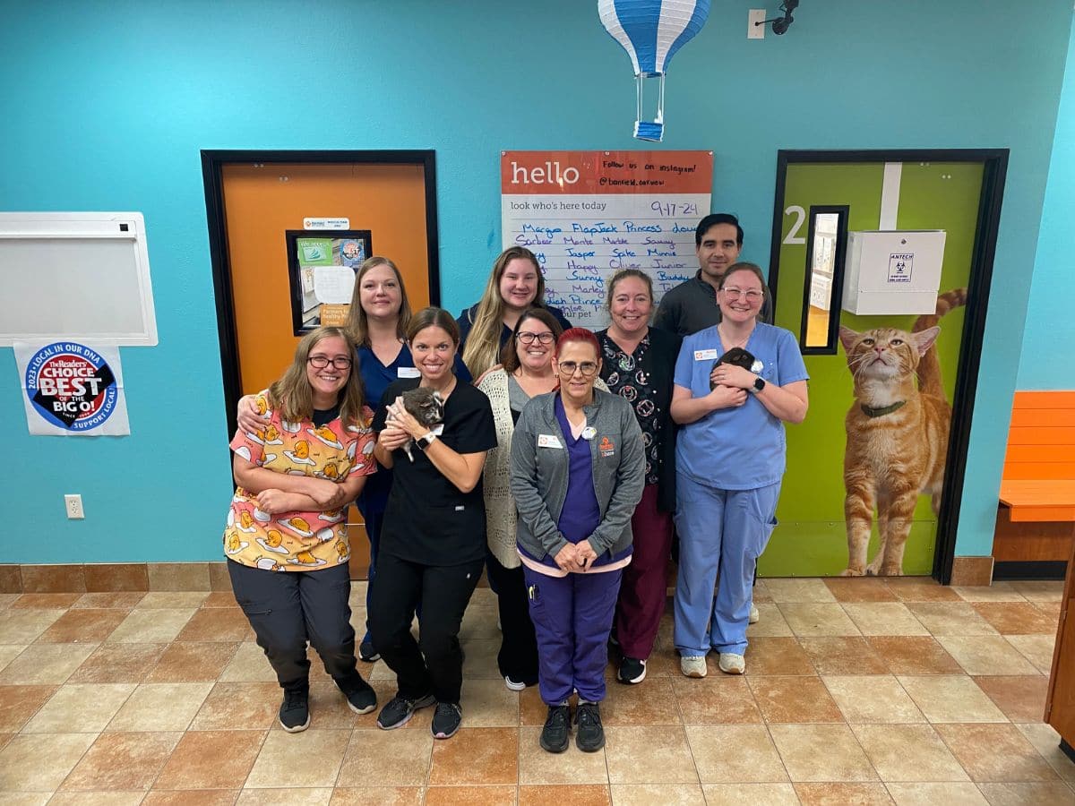 Team photo of Banfield Oak View