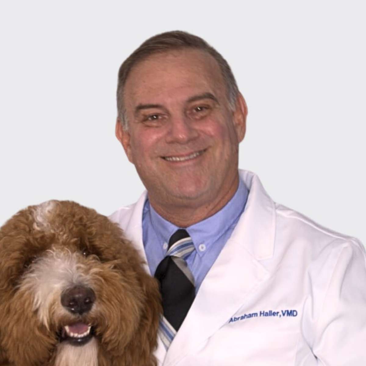 Profile picture of Abraham Haller, DVM, Veterinarian