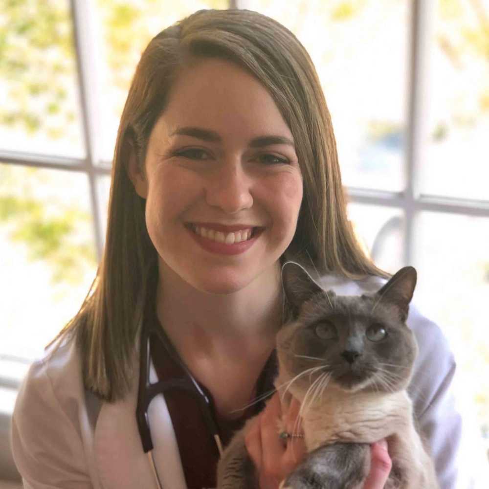 Dr. Catherine Ballard Veterinarian, DVM