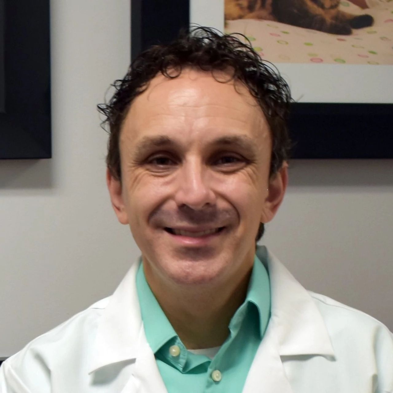 Dr. Steven Blaustein Veterinarian, DVM