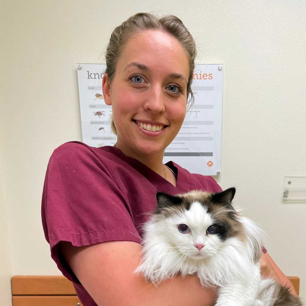 Profile picture of Heather Betzen, LVT, Credentialed Veterinary Technician