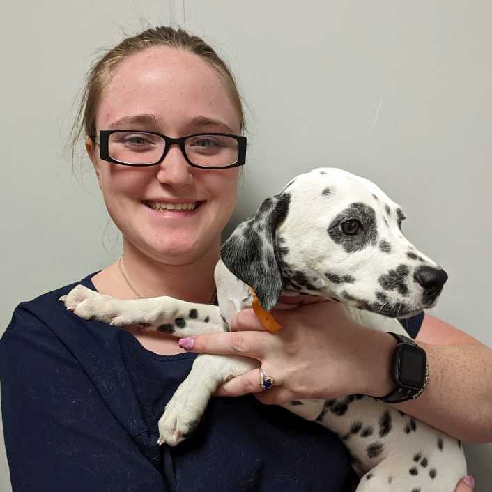 Profile picture of Madeline Boles, Veterinary Assistant