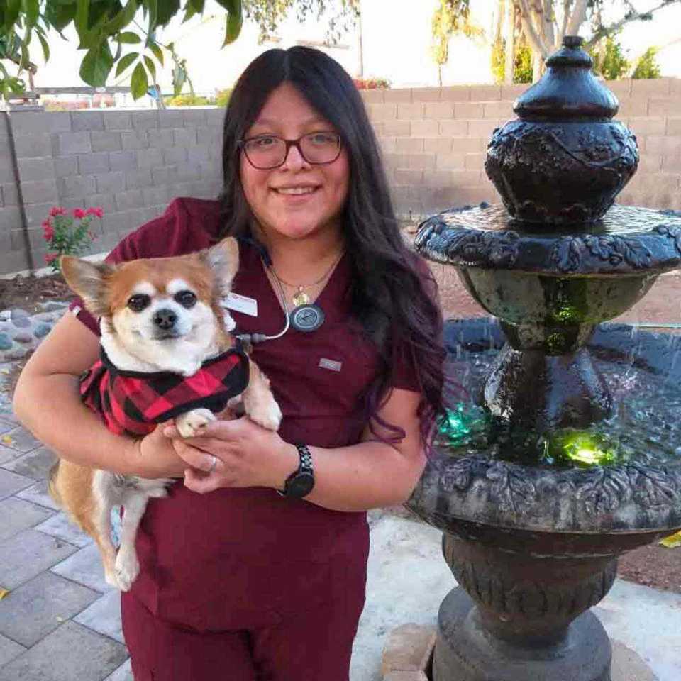 Vets in East Mesa, AZ