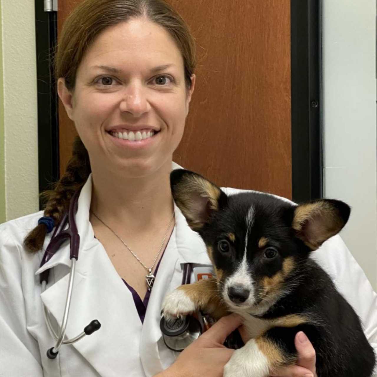 Veterinarians in Omaha, NE