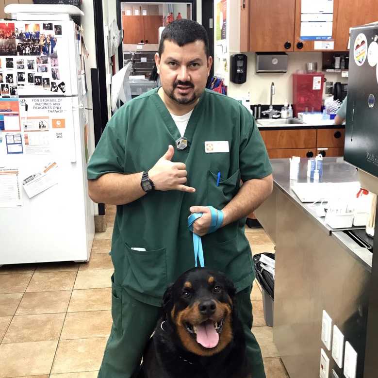 Profile picture of Luis Cerrada, Veterinary Assistant