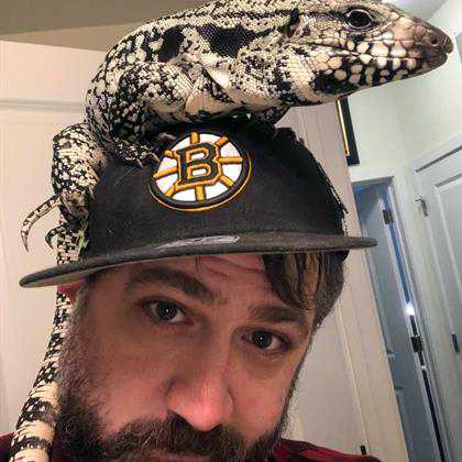 Veterinarians in Everett, MA Banfield Pet Hospital