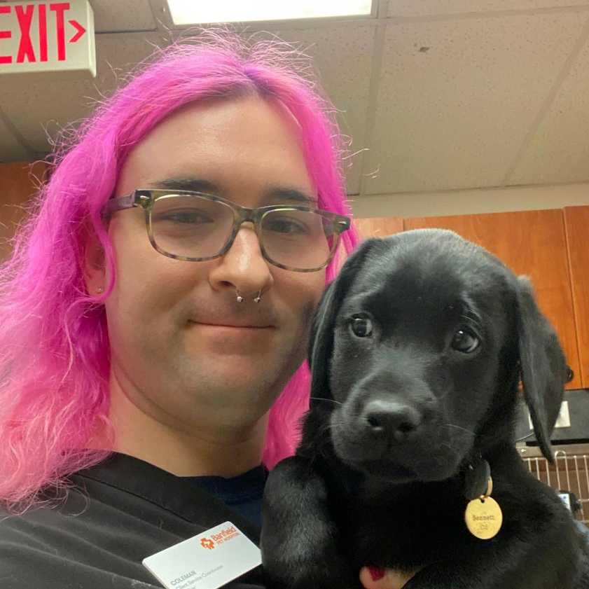 Veterinarians in Everett, MA Banfield Pet Hospital