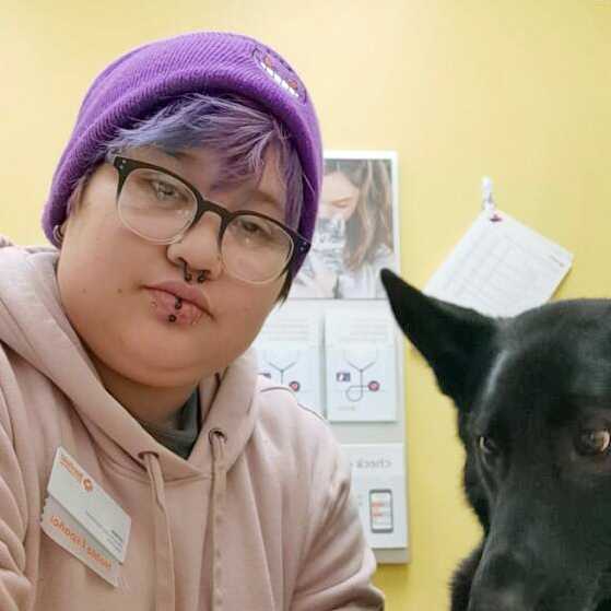 Veterinarians in Everett, MA Banfield Pet Hospital