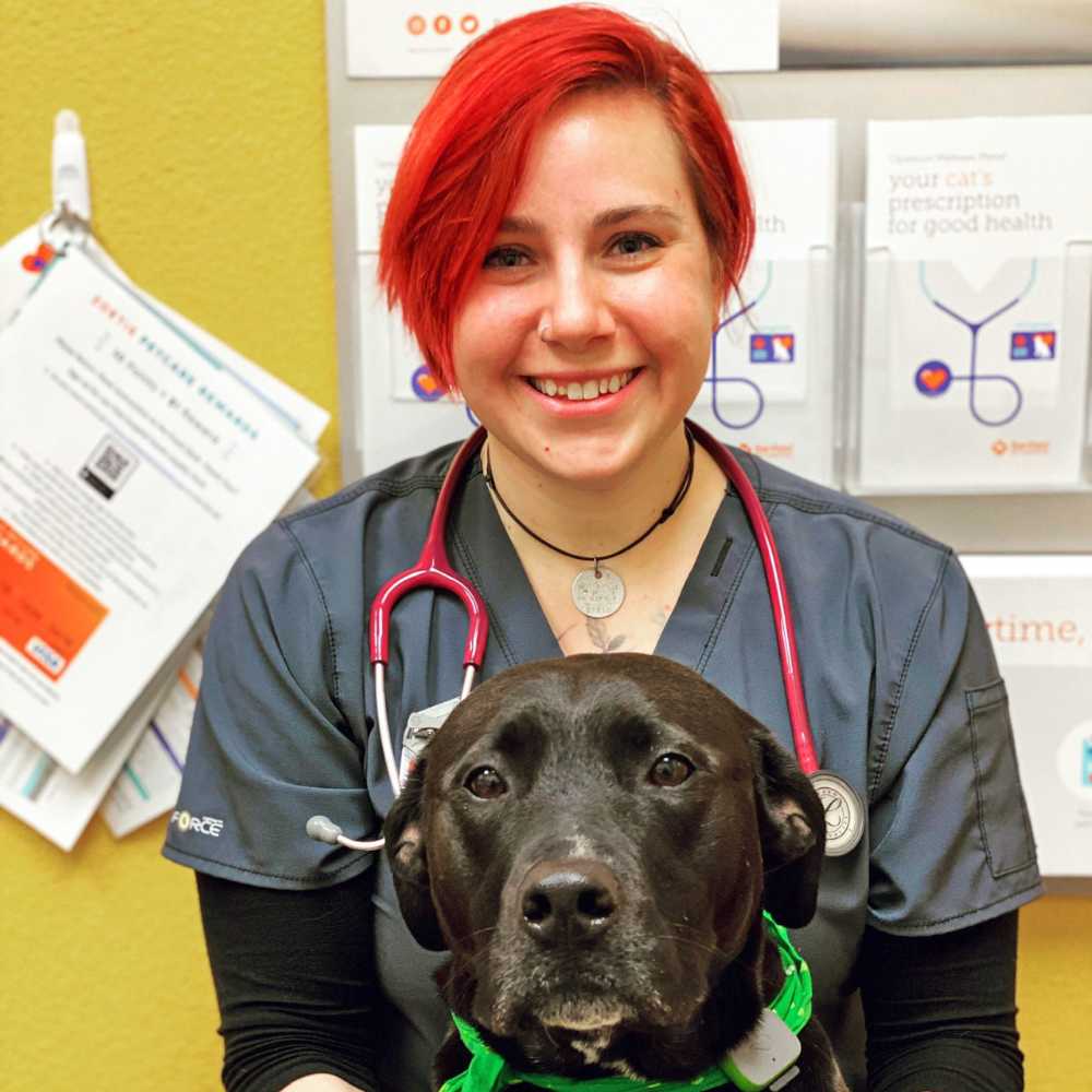 Veterinarians in West Chester, OH Banfield Pet Hospital