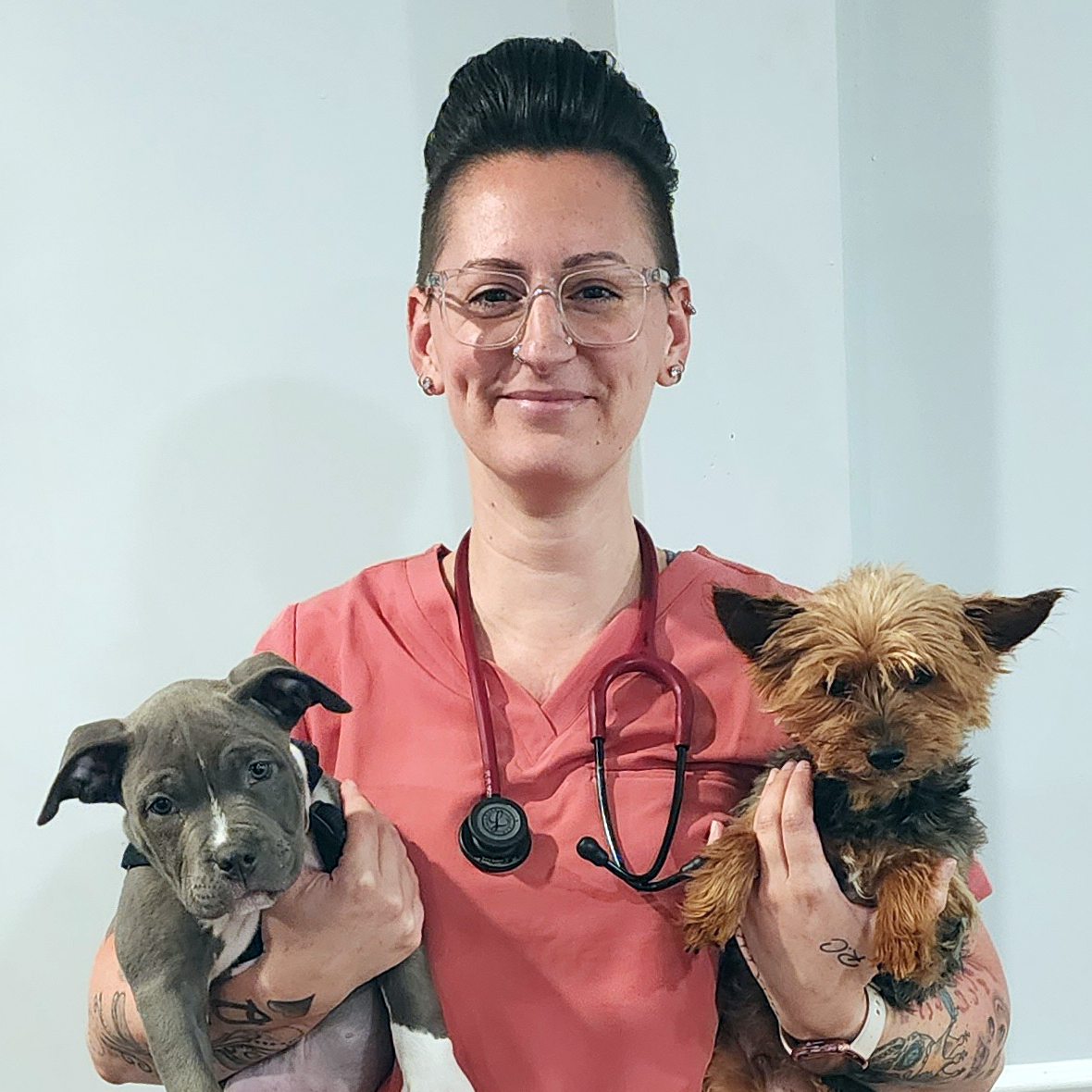 Profile picture of Toni Castro, Veterinary Assistant