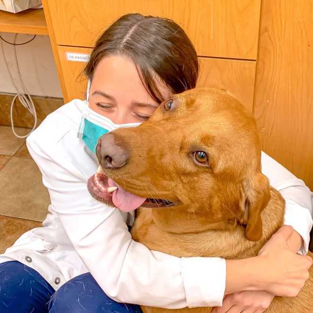 Profile picture of Tiffany DeRusso, DVM, Veterinarian