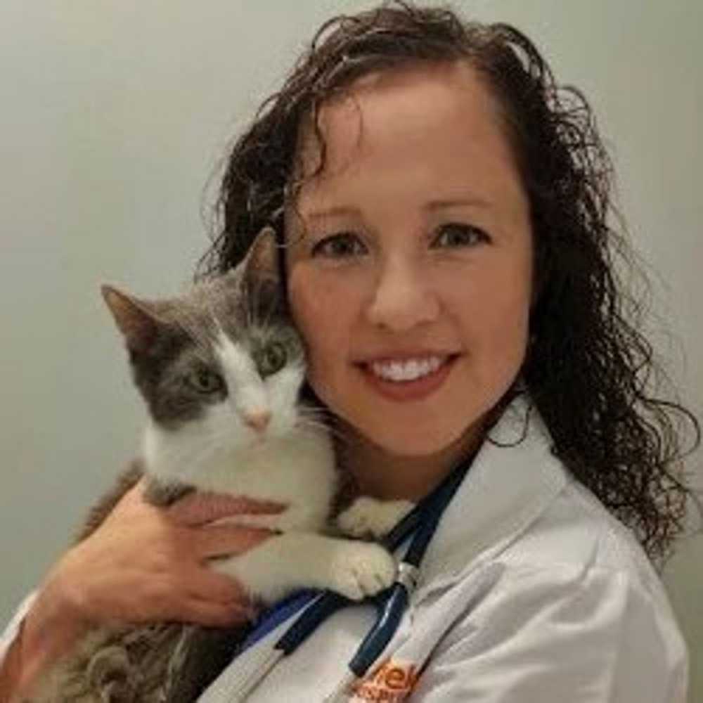 Veterinarians In South Elgin Il Banfield Pet Hospital