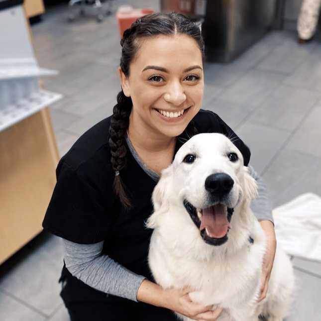 Profile picture of Monica Elias, Veterinary Assistant