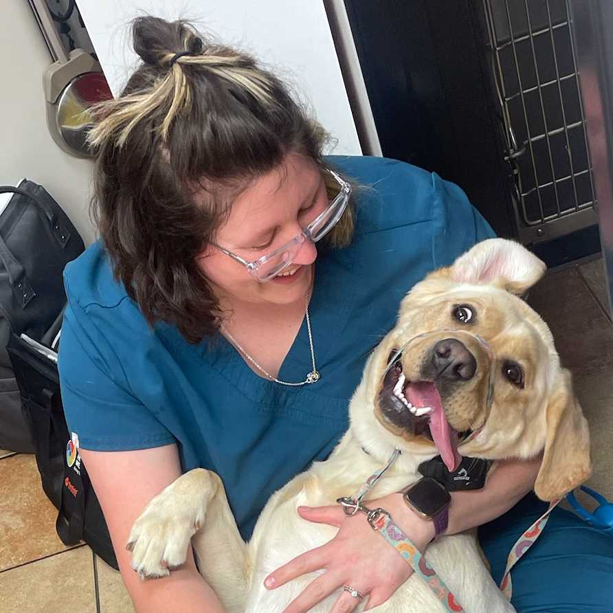 Veterinarians in North Canton, OH Banfield Pet Hospital