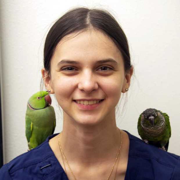 Profile picture of Adrianna Findley, Veterinary Assistant
