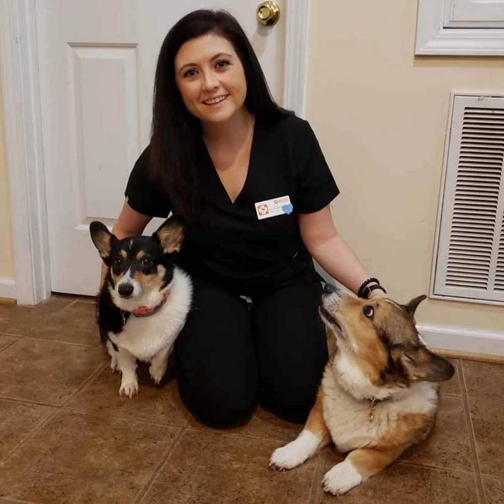 Profile picture of Kylie Glisson, DVM, Veterinarian