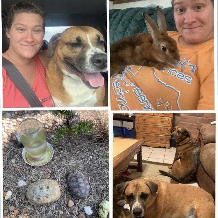 Veterinarians in Katy, TX Banfield Pet Hospital