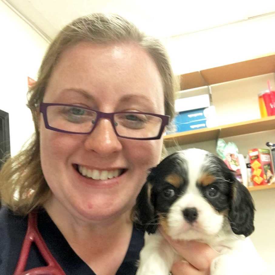 Vets in Denver, CO Stapleton Banfield Pet Hospital