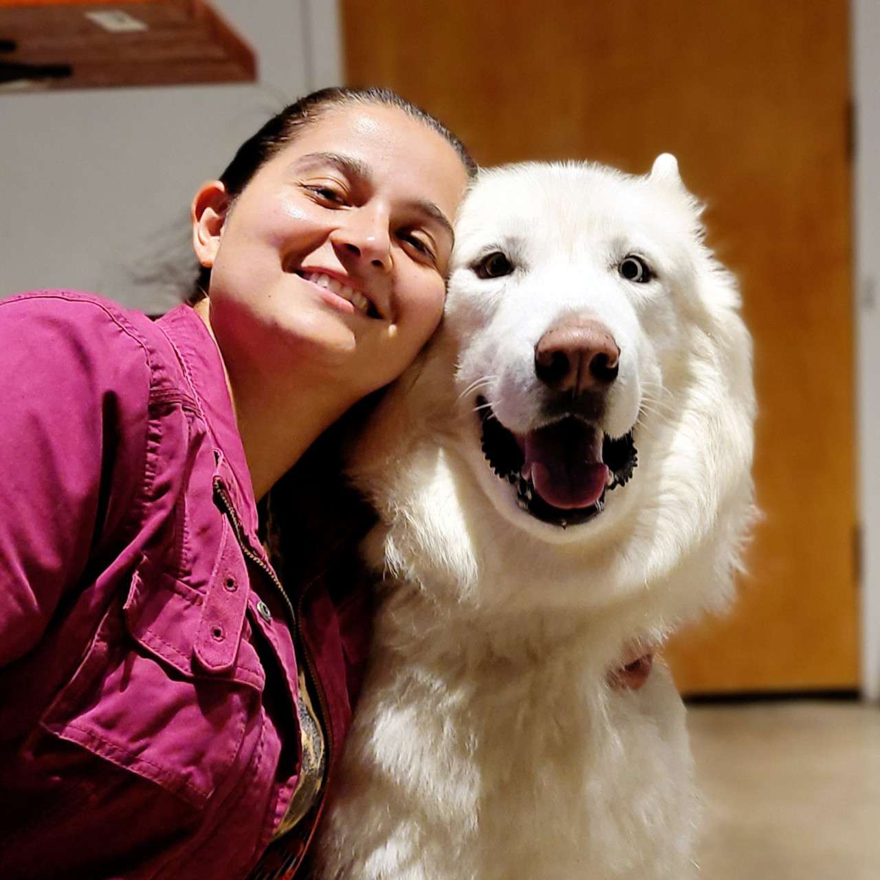 banfield pet hospital ikea blvd