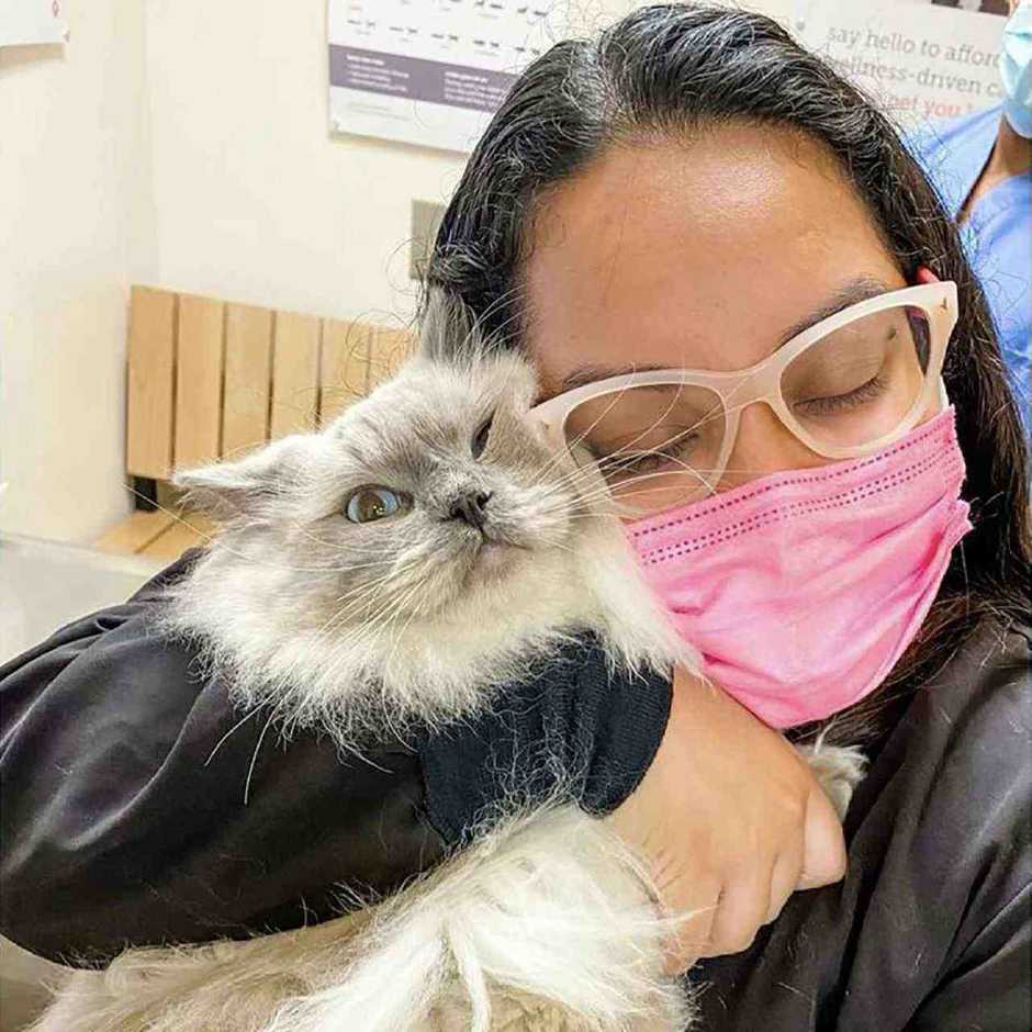 Veterinarians in Hialeah, FL Banfield Pet Hospital