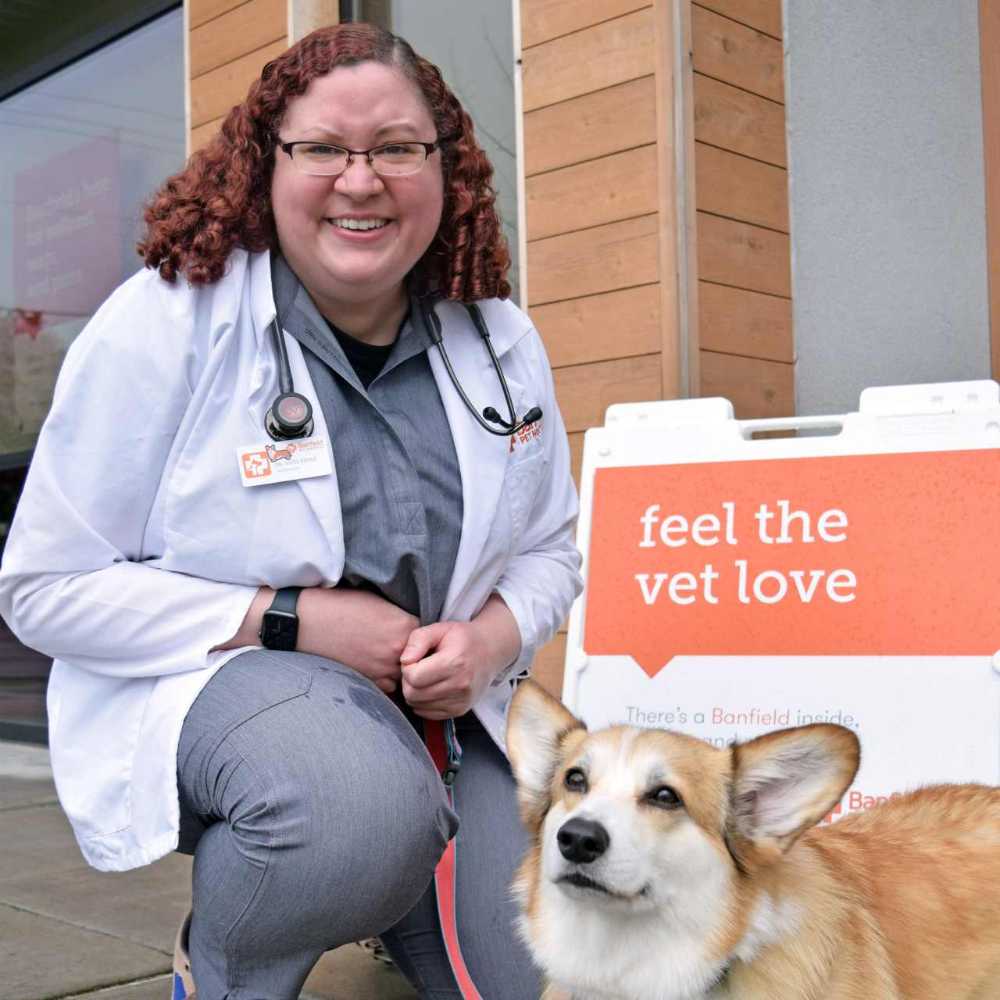 Profile picture of Kiera Kienle, DVM, Veterinarian