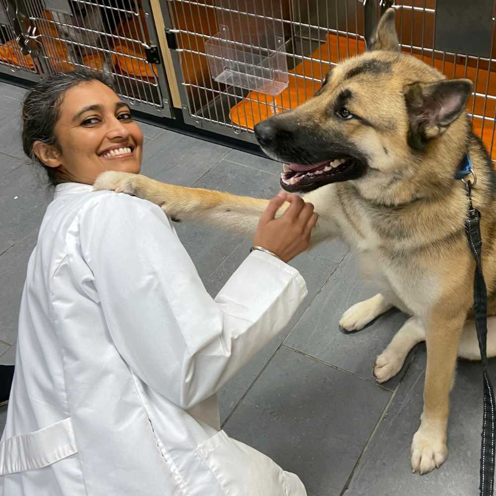 Profile picture of Amandeep Kaur, DVM, Veterinarian