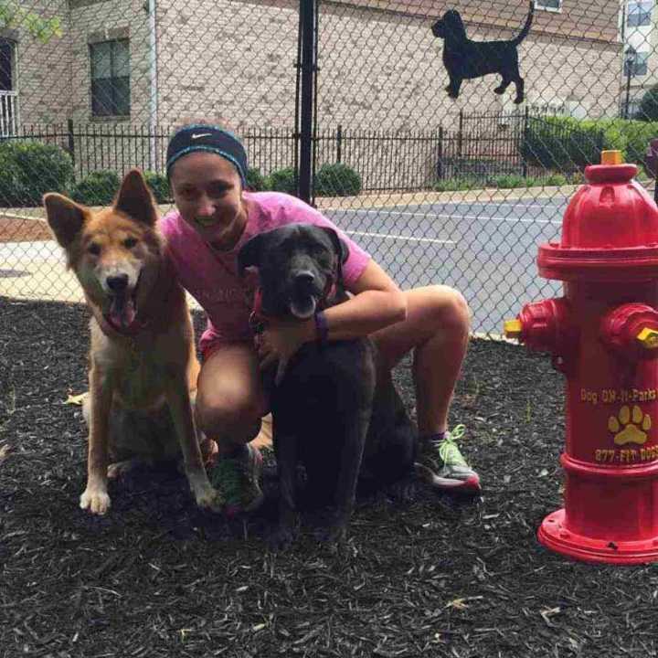 Vets in Duluth, GA Peachtree Hill Banfield Pet Hospital