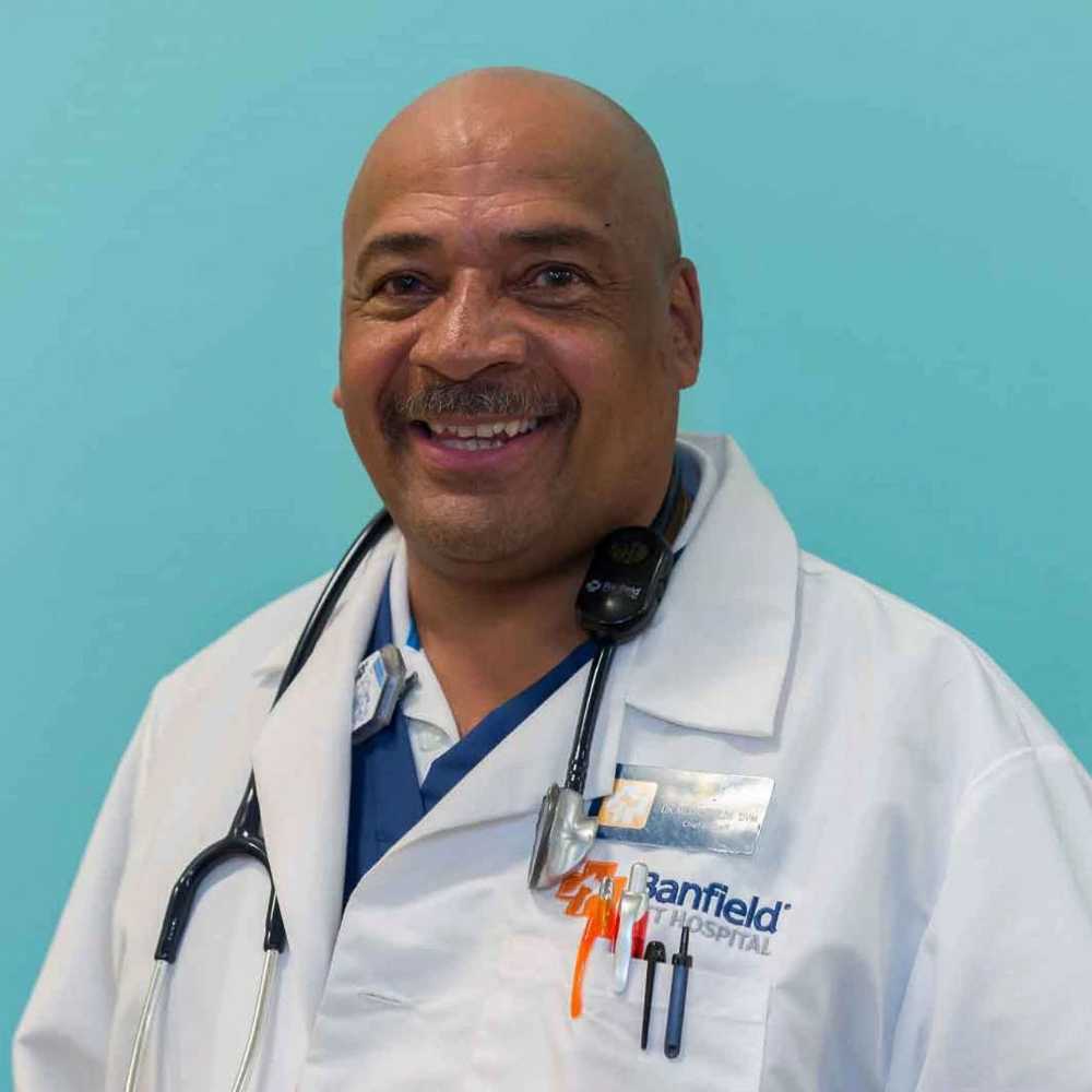 Vets in Charlotte, NC Perimeter Banfield Pet Hospital