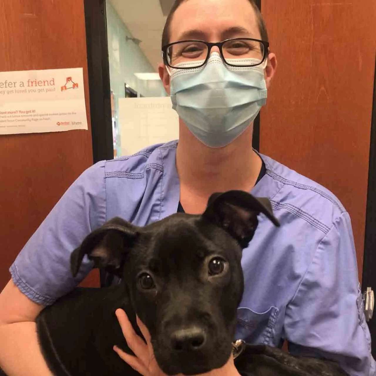 Veterinarians in Independence, MO Banfield Pet Hospital