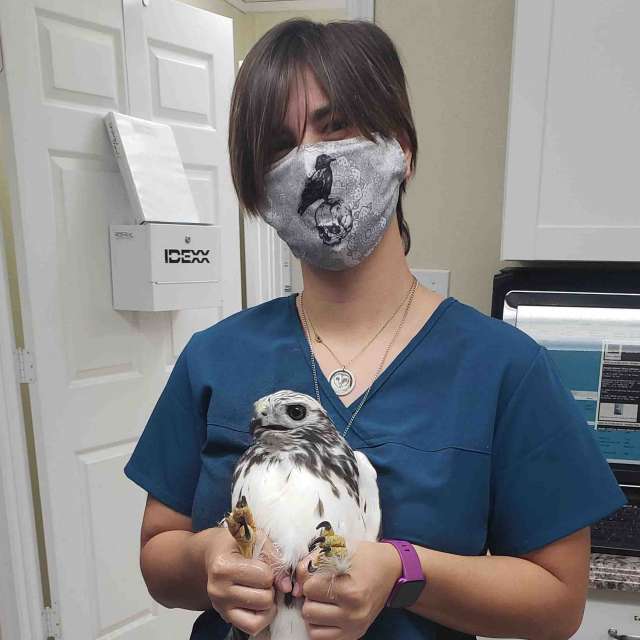 Profile picture of Samantha Meilink, Veterinary Assistant