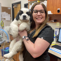 Profile picture of Shirley Nigaglioni, DVM, Veterinarian