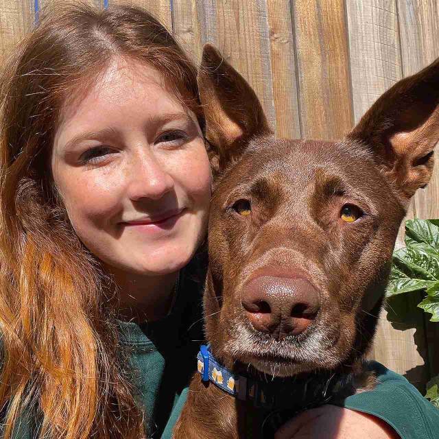 Vets in Elk Grove, CA Laguna Banfield Pet Hospital