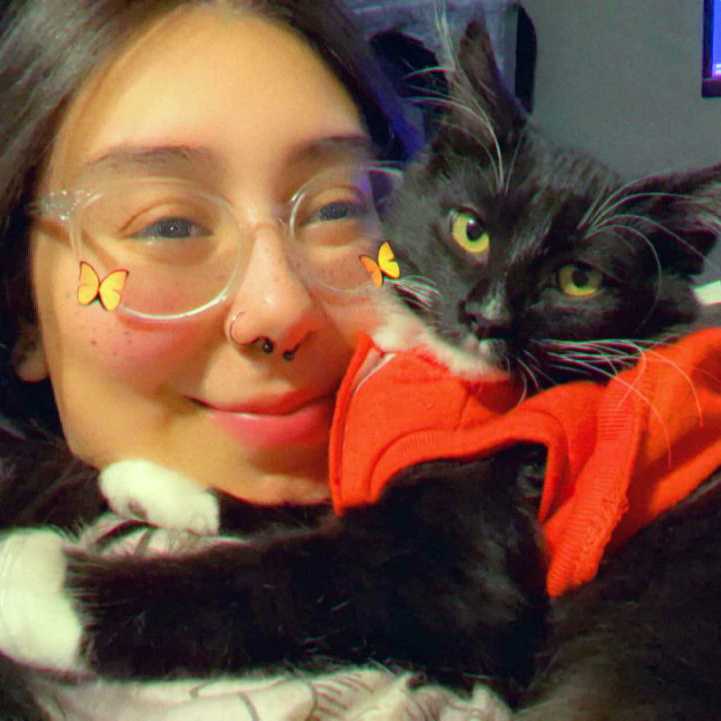 Veterinarians in Everett, MA Banfield Pet Hospital