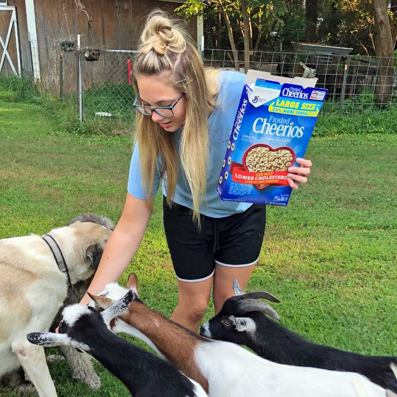 Terra Client Service Coordinator