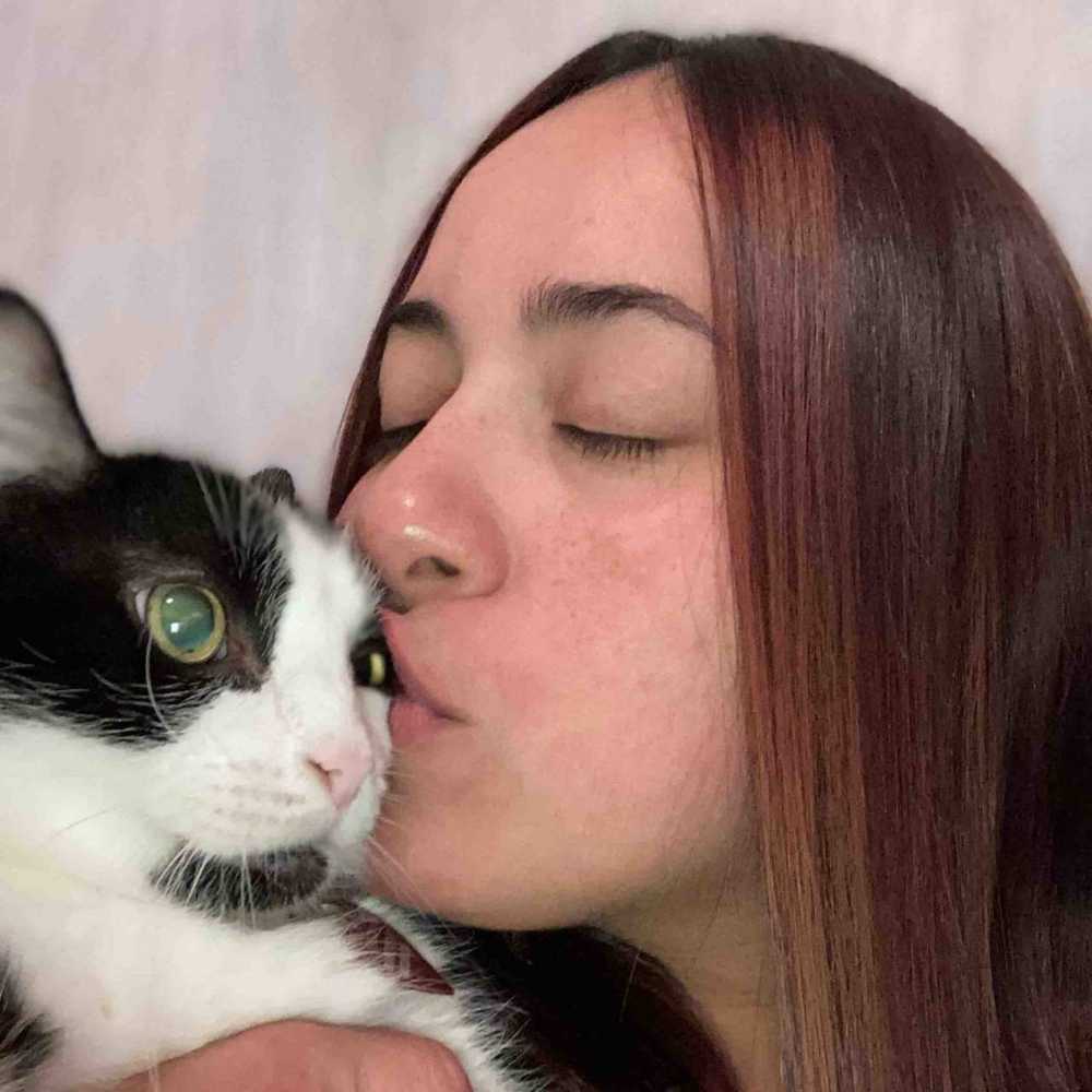 Vets in Bayamon, Puerto Rico Banfield Pet Hospital