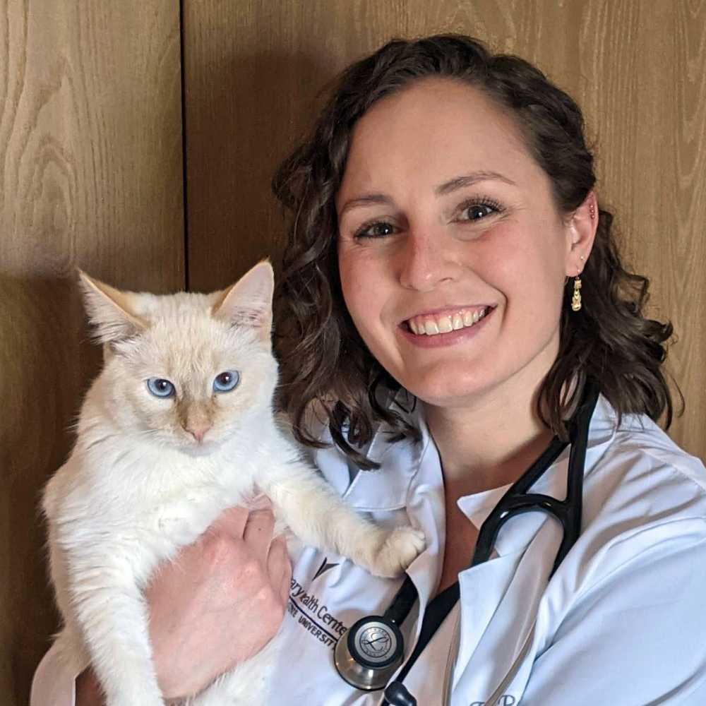 Profile picture of Ruth Roebke, DVM, Veterinarian