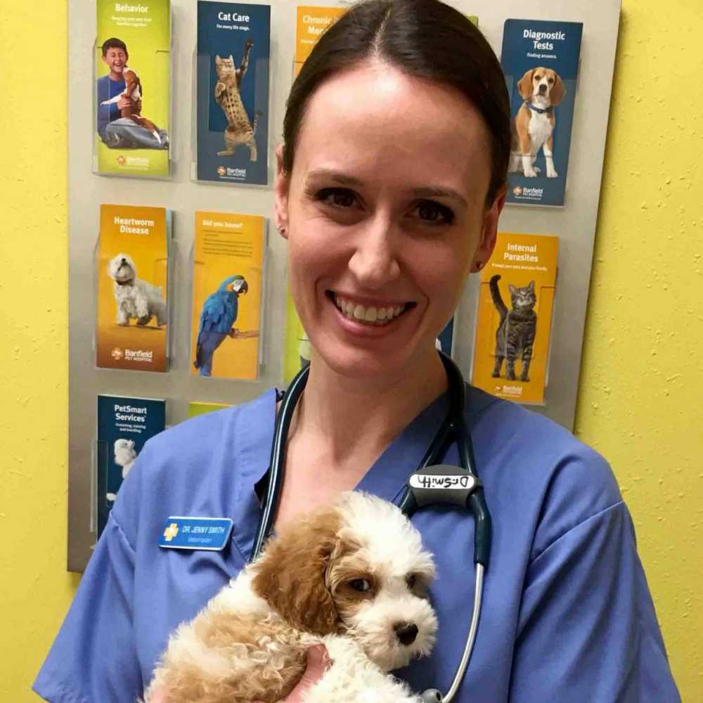 Profile picture of Jenny Smith, DVM, Veterinarian