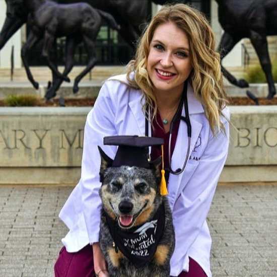 Profile picture of Taylor Sheffield, DVM, Veterinarian