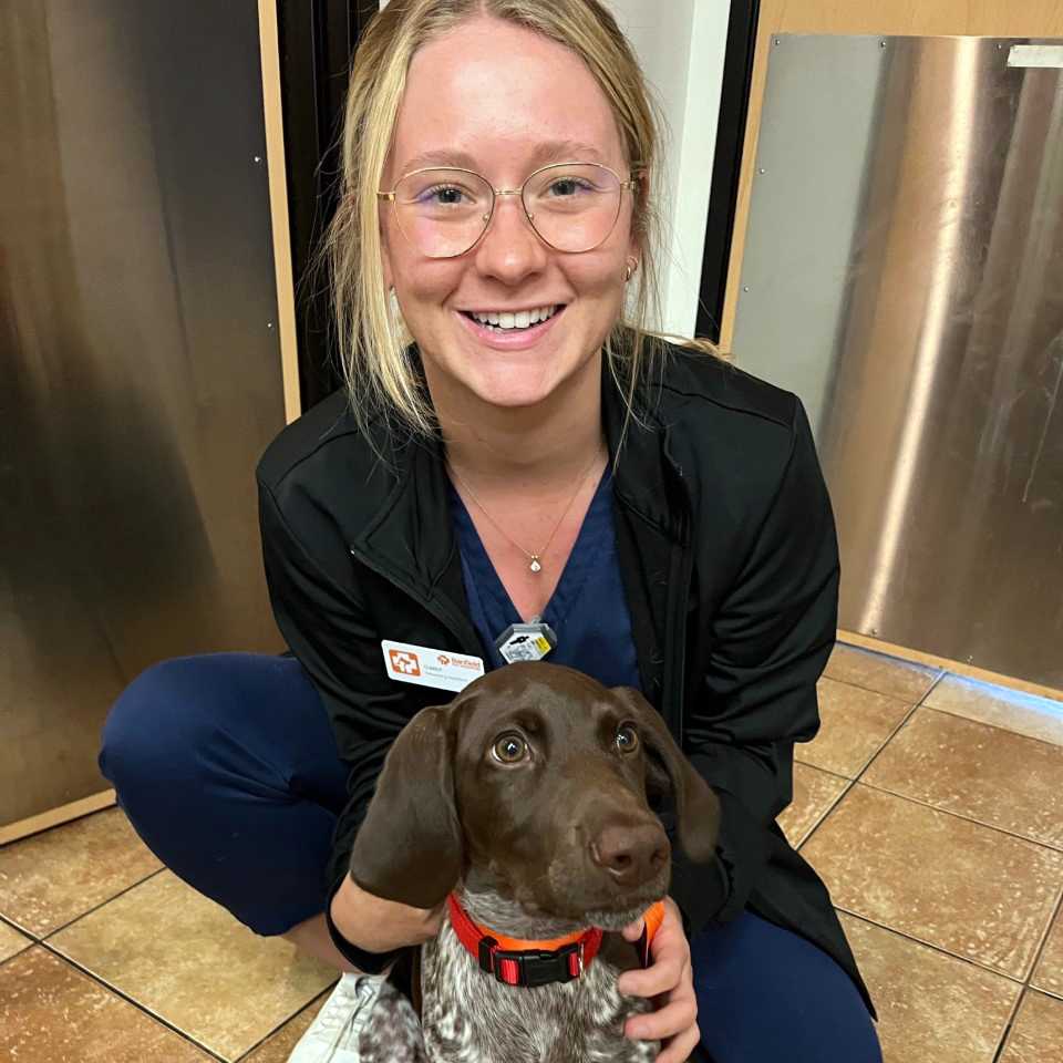 Profile picture of Carly Sellers, Veterinary Assistant