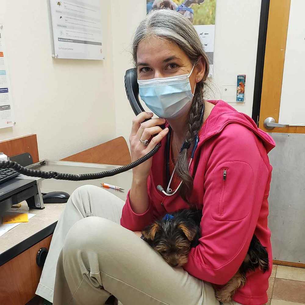 Vets in Columbia, SC Harbison Blvd Banfield Pet Hospital