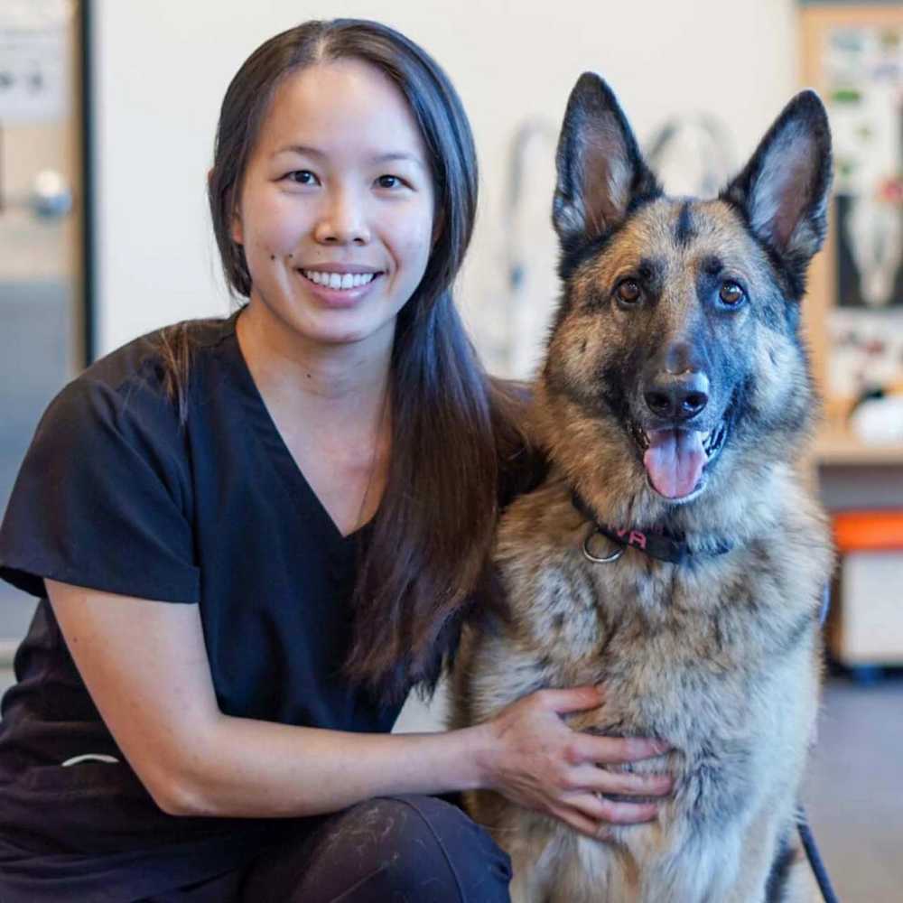 Profile picture of Connie Wu, DVM, Veterinarian