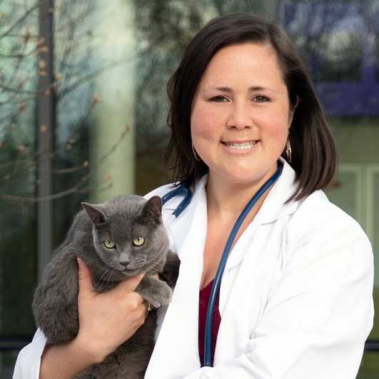 Dr. Carli Williams - Veterinarian, DVM