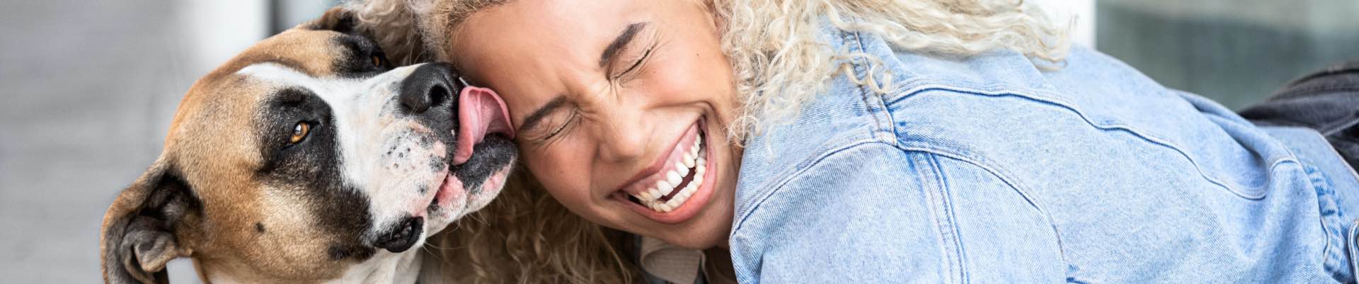 dog licks face of smiling woman