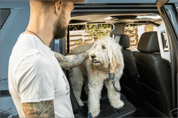 tattoed man pets dog in car