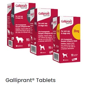 a box of Galliprant medication