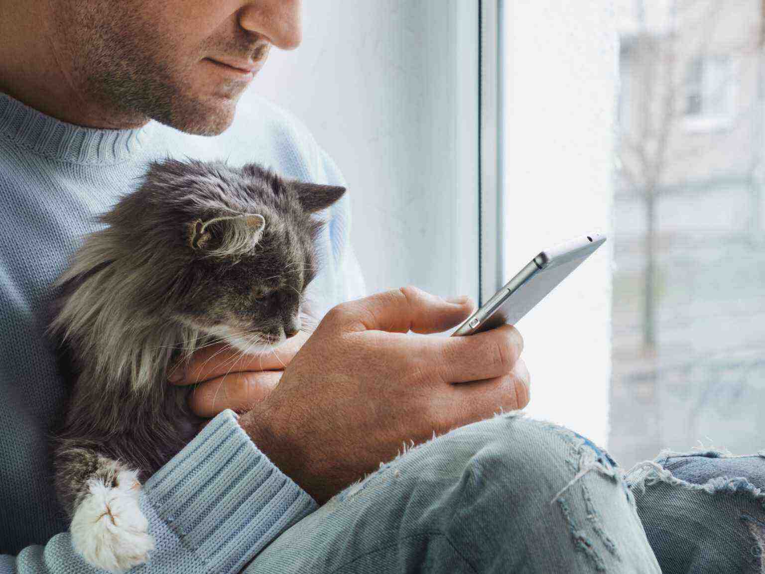 A man holds his cat while reading on his smart phone in front of a window.